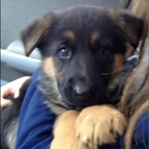 Meet your Posher, Lynne